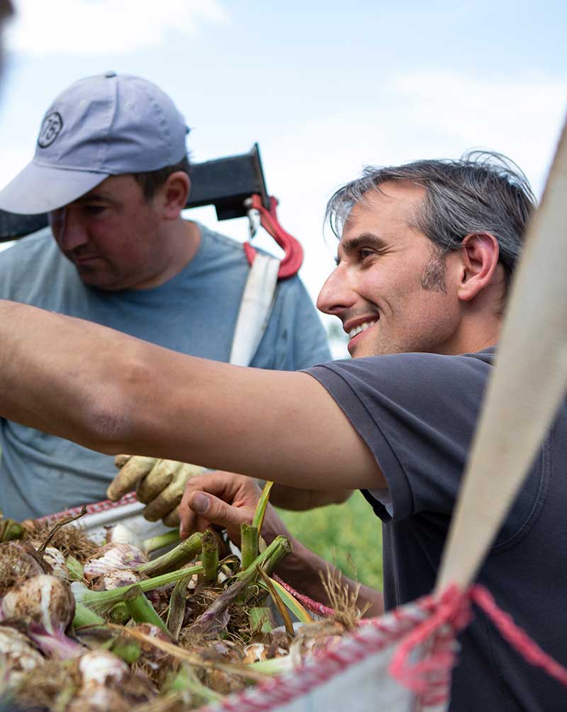 gut-geratshof-presse