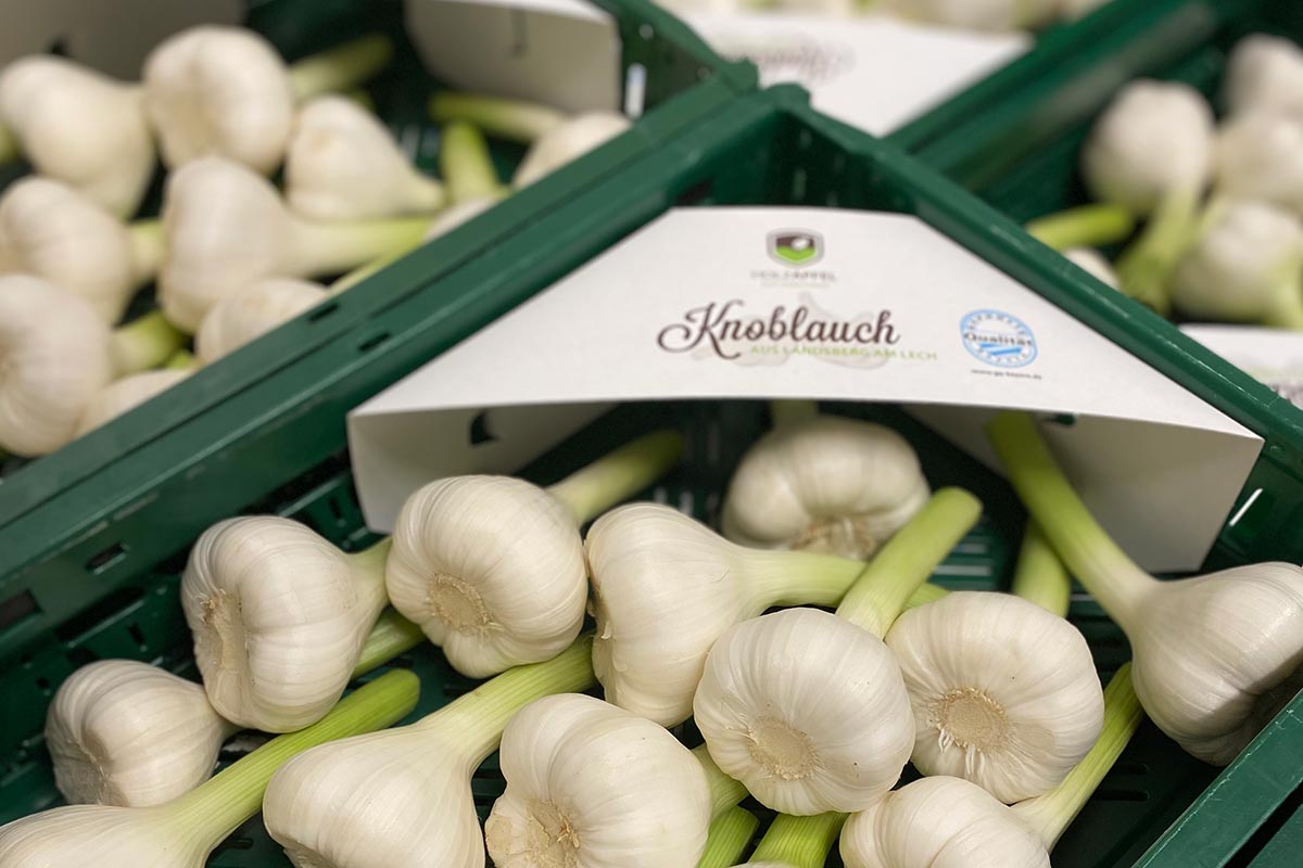 knoblauch-verpackung